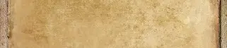 horse breeder in arizona