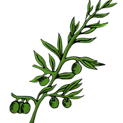 Logo de Papeleria Casa Olivo