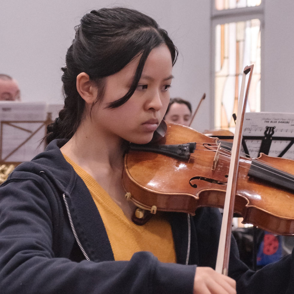 Woman playing violin