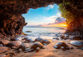 I set out to shoot sunset on a short trip to Maui. A good friend of mine knew of this special place where the turtle come up into a cave to rest. It was quite difficult to get to, we had to walk through the water along a cliff side, the tide was rising so it wasn't very easy.