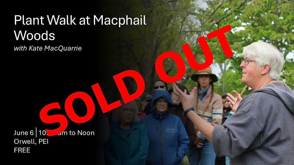 Plant Walk at Macphail Woods