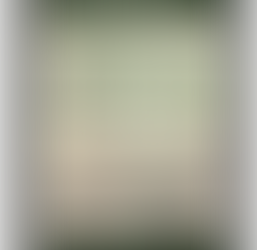 Book of the Week ~ 1/6/14