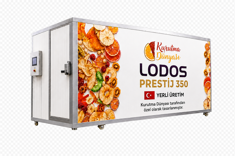 LODOS PRESTİJ 350 tepsili endüstriyel kurutma fırını