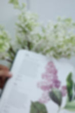 A page detailing the symbolism of lilacs is open, encircled by stunning white lilac flowers.