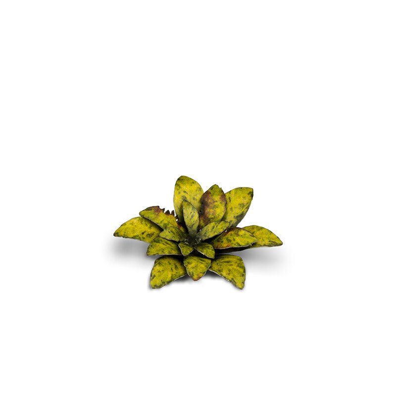 Miniatura: GamersGrass - Dumb Cane