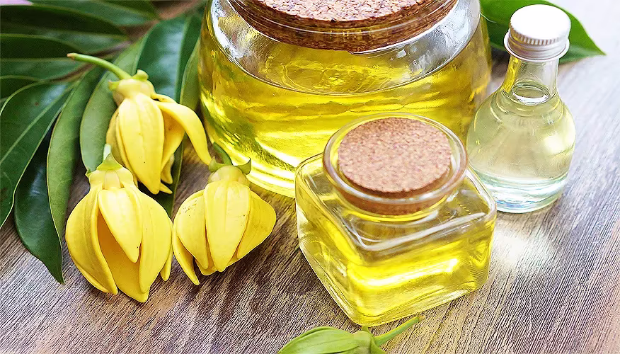 Herbal oil 1 box (9 Mixed oils) only $269