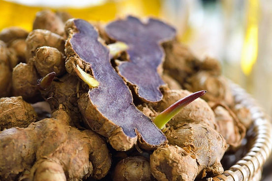 black-ginger-extract-kaempferia-parviflora