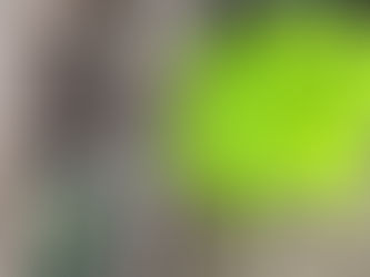 Old Wagon Wheel with Lime Green Plat