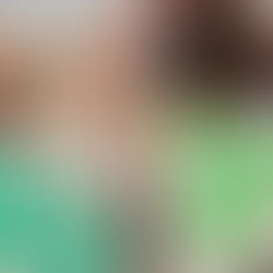 The problem with holiday home lets...