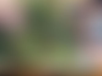 Festive fun that's NOT online