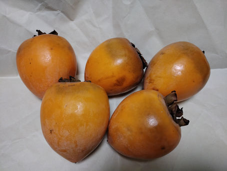 柿を頂きました。