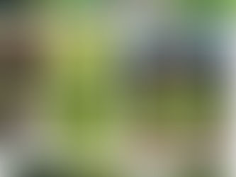 初夏の社員旅行その３