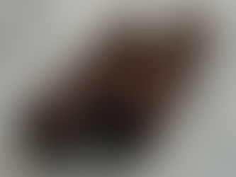 尾道スイーツ三部作😙その２🍰