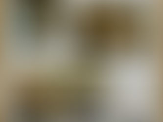 28日はライブです。