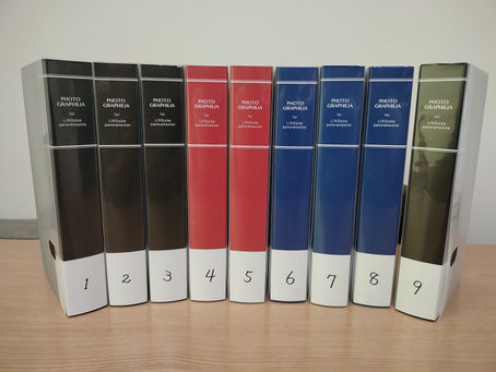 手ごわい写真整理その3