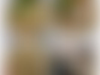 尾道ラーメン赤兎馬🐴