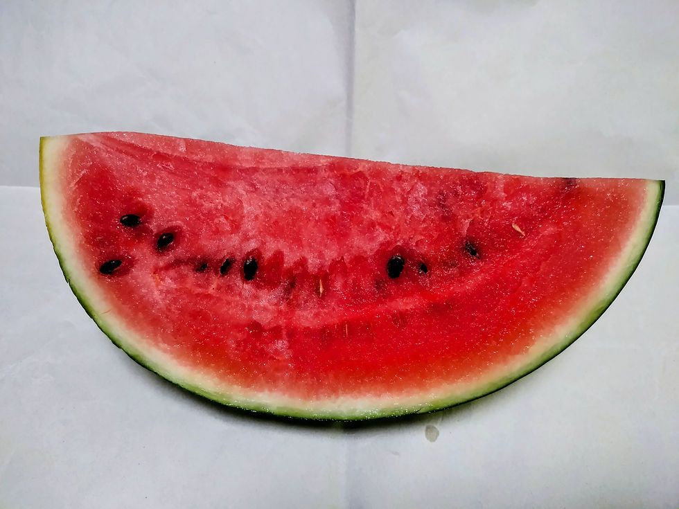 🍉すいかを貰いました。🍉
