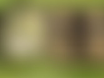 買い取り専門店THE GOLD