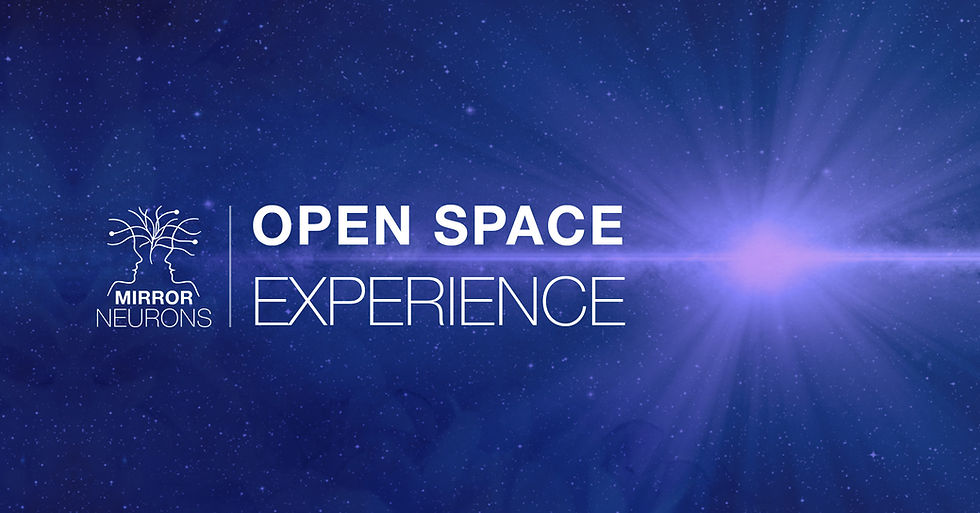 Open Space Experience