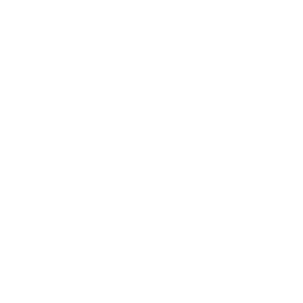 The MirrorWings_Logo-trans-White.png