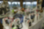 Kyle T. Rohan Racing Foundation