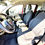 Miniatura: FIAT PANDA CROSS 1.0 FIREFLY S&S HYBRID