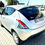 Miniatura: LANCIA YPSILON 1.3 MJT 16V 95CV 5P