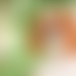 Why Hillside Forever Paws is Your Best Bet for a Cavalier King Charles Spaniel Puppy