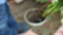 Drain Cleaning service