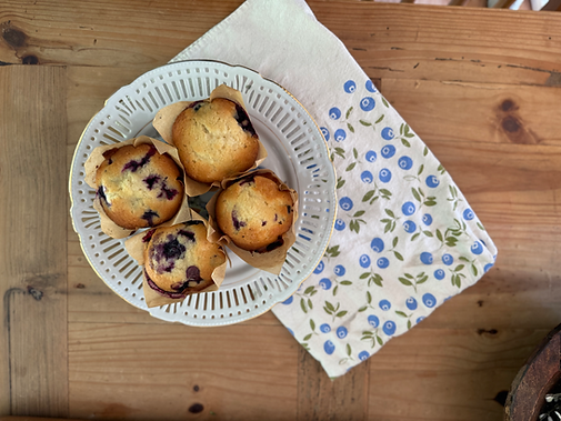 Blueberry Muffins