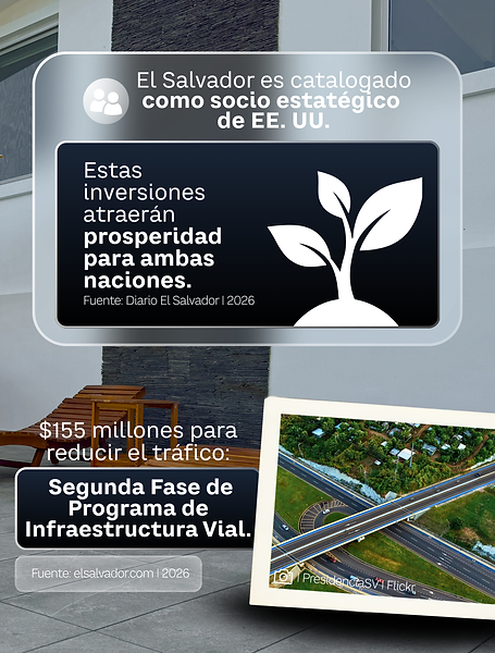 Newsletter 7  Cropped.png