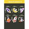 Thumbnail: yellow Nuts Birthday Cartoon Theme Cutouts