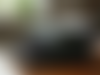 The Literary Legacy of Elizabeth Gagnon Works