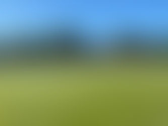 Whitehouse leads 1sts home in Bissenden thriller