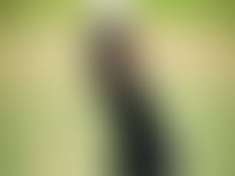 Overseas Amateur Announcement 2026