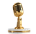 Podcast Microphone.png