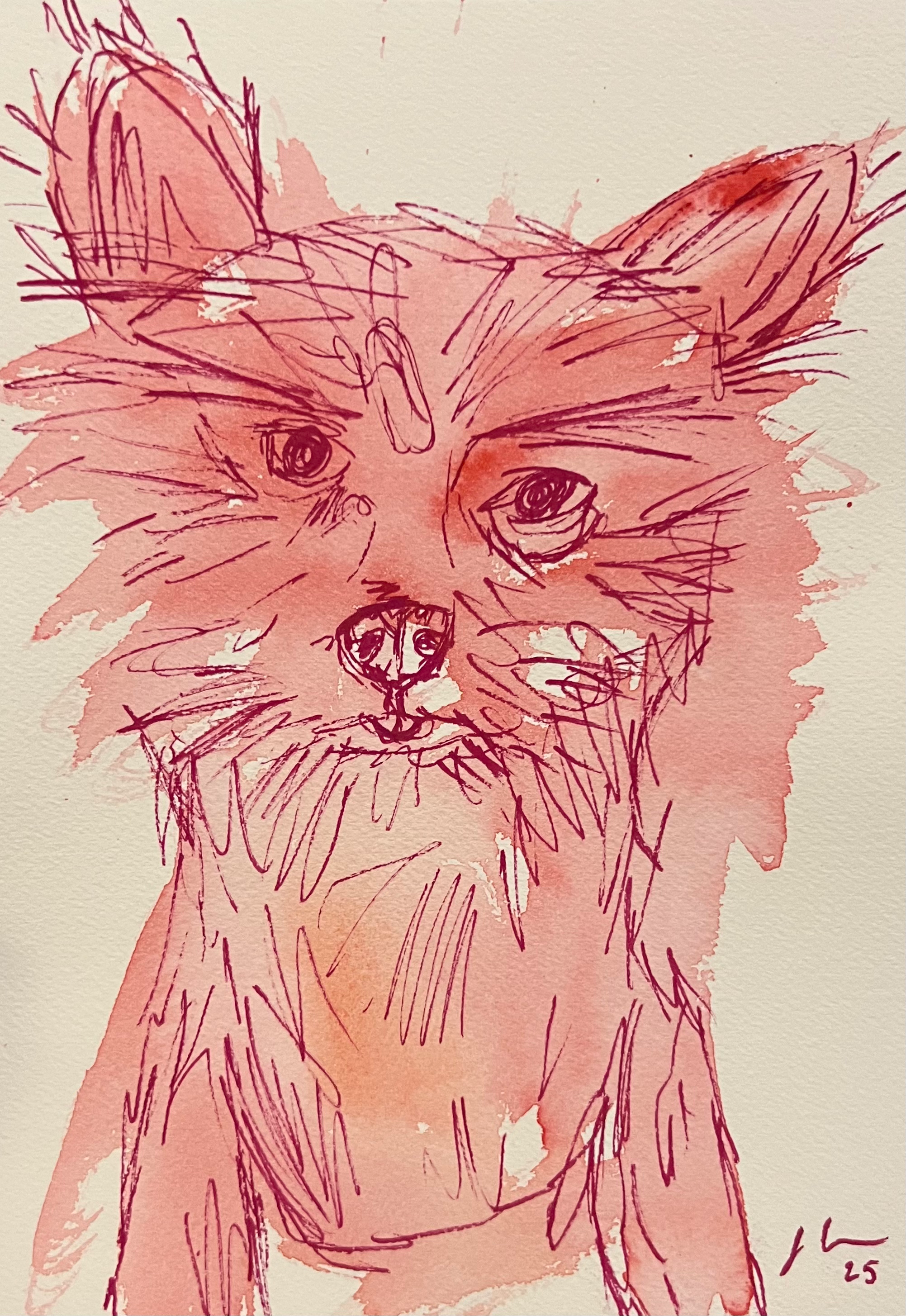 Oliver the Chihuahua - Oconee Humane Society - 8x10 Mounted