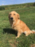 IMG_8414.JPG.jpeg
