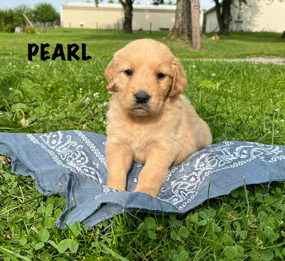 Xena & Whiskey: PEARL