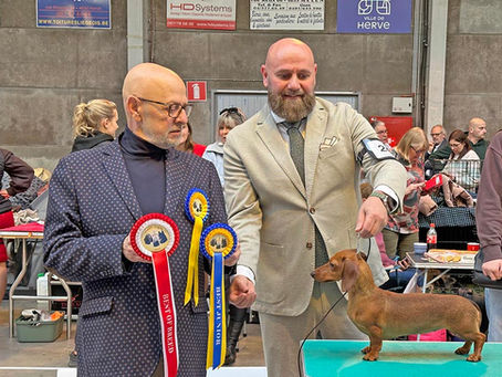 SHOW RESULTAAT National 1ere Spring Dog Show HERVE