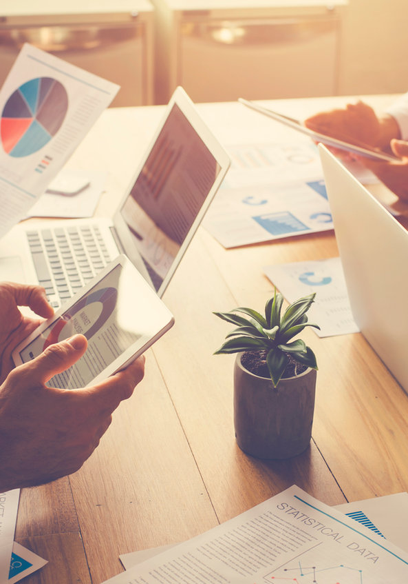 BLUEPRINTS & ANALYTICS