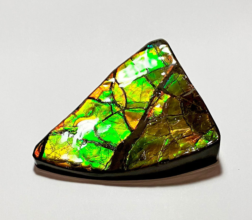 Dinosaur Rib Bone Fragment on Sandstone Matrix