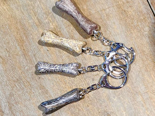 Fossil Friday – Jan. 22