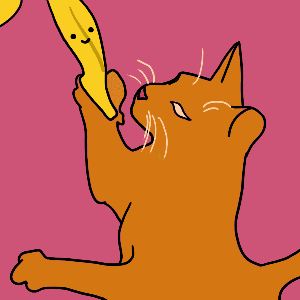 rotoscopeoption1.gif