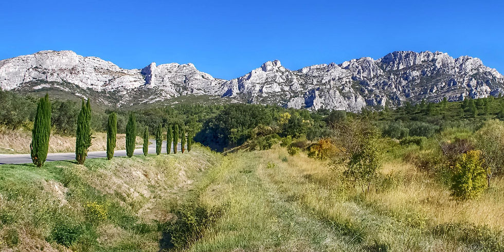 alpilles_provence_amouton_1920x960_0109e652a8.jpeg