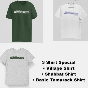 3 Shirt Special Levison Village