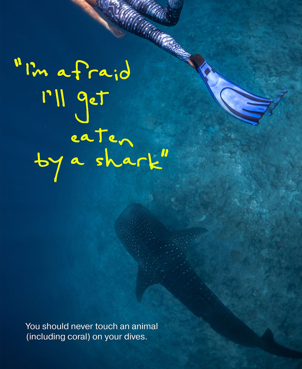 Getting eaten by a shark is just a scuba myth.