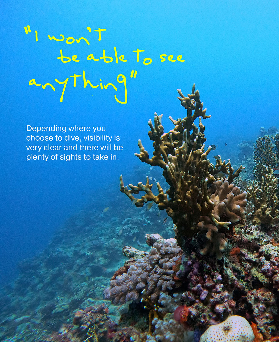 The ocean is dark is just a scuba myth. You can dive in clear visibility with lots of light.