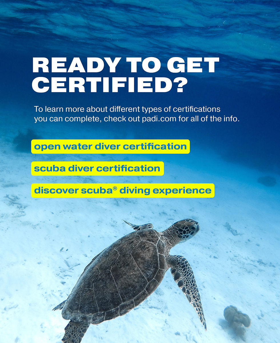 Getting certified is easy and not a scuba myth. You can do so in three easy steps.