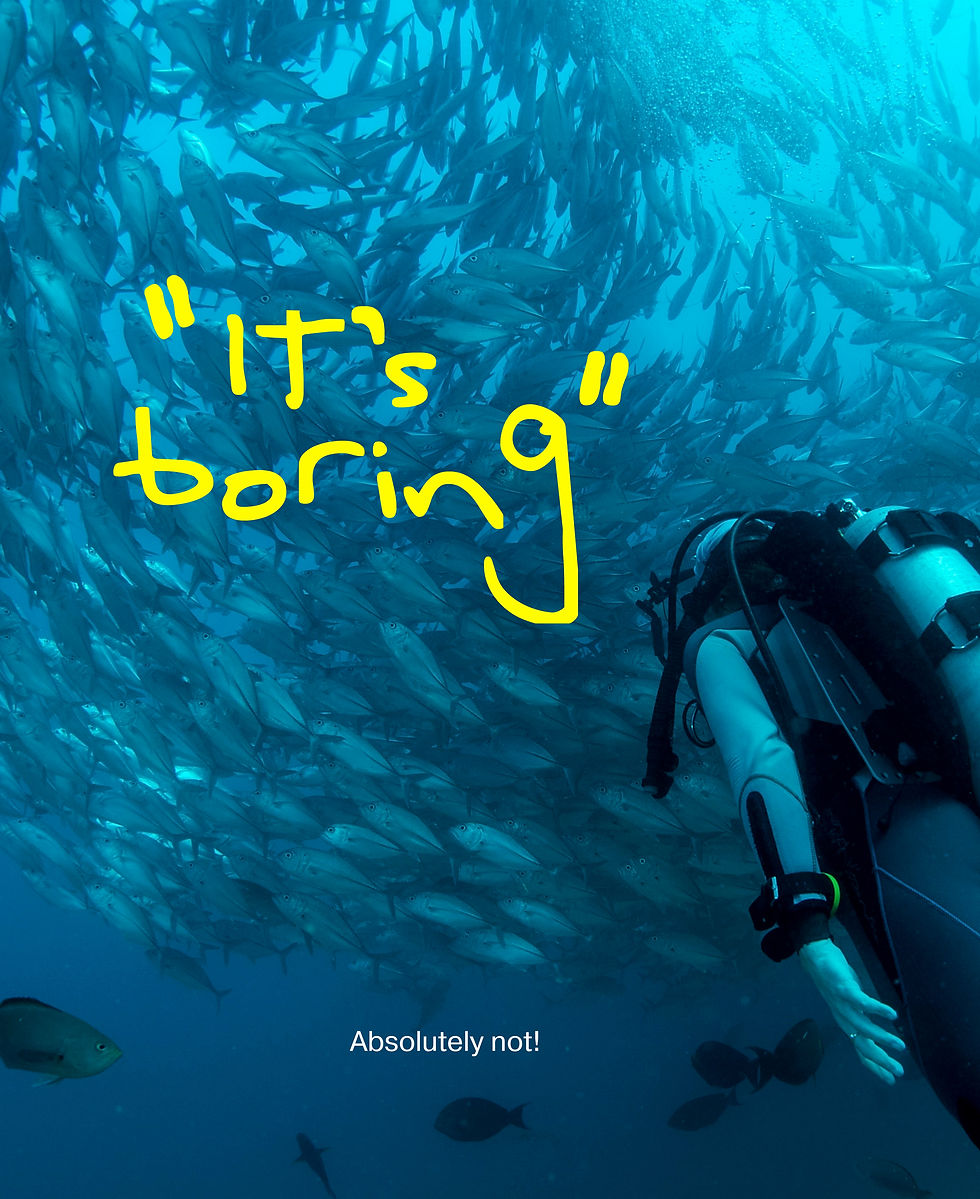 Scuba diving is anything but boring. If you hear it is, it is a scuba myth!